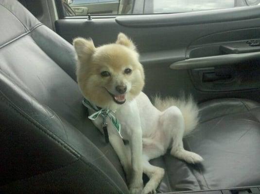 photo of Ashleigh I.