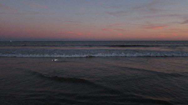 photo of Elliotte T.