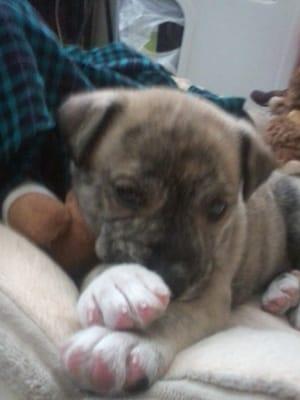 photo of Amaryllis T.