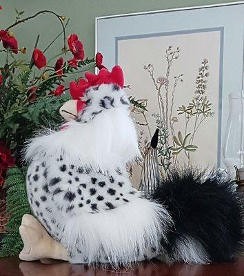 photo of Éireann O.