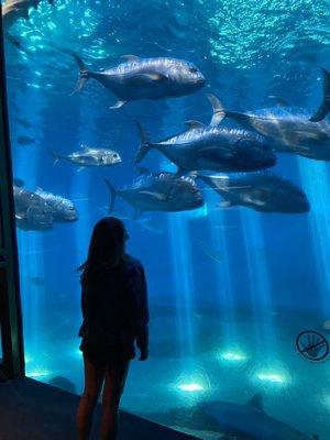 photo of Bra Dis Guy A.