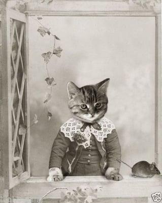 photo of Brilliant G.