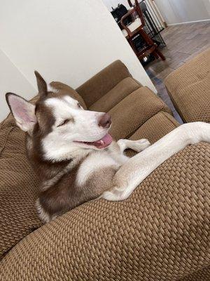 photo of Christopher Anthony B.