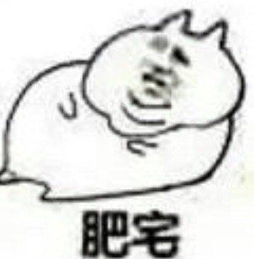 photo of Cocoland W.