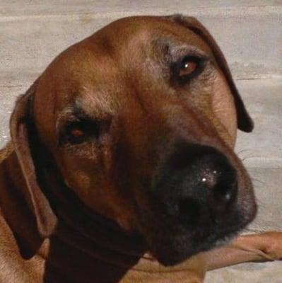 photo of Stephanie E.