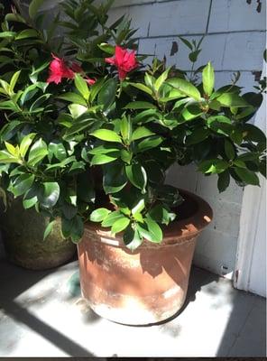 Photo of Kathleen O.