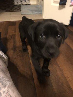 Photo of Kathleen M.