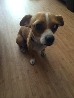 Photo of Michelle M.