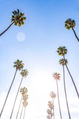 photo of Karolina M.