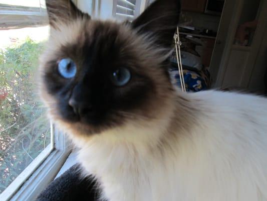 photo of M. Imogene G.