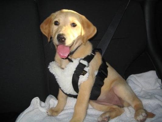 Photo of Stephanie S.