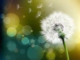 photo of Charlene T.