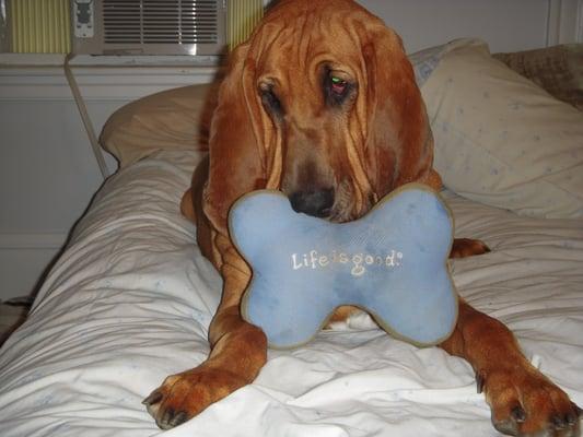 photo of Jennifer T.