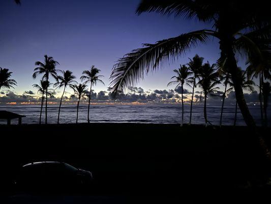 photo of Alejandra H.