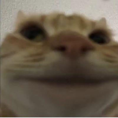 Photo of Pablo Santiago M.