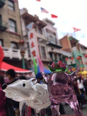 photo of Pinkpigwhitebear M.