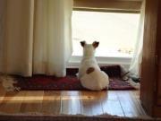 Photo of SANDI M.