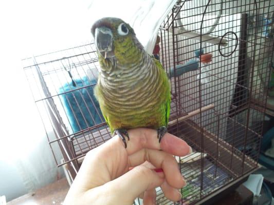Photo of Ruri K.