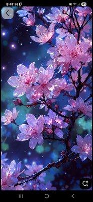 photo of Carolina P.