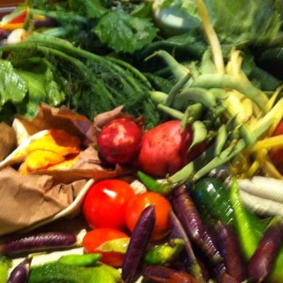 photo of Jennifer B.