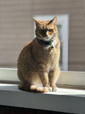 photo of Madeline V.