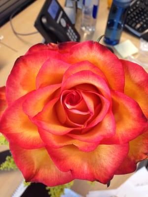 photo of Michelle W.