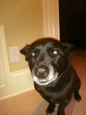 Photo of Luckie D.