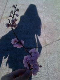 photo of Danielle F.