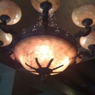 photo of Austinite W.