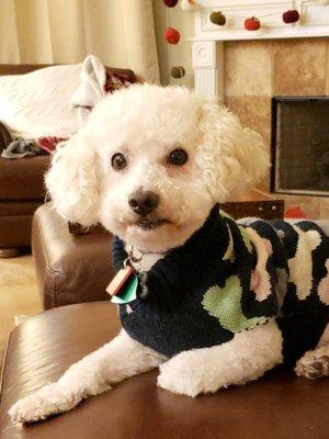 Photo of Jennifer H.