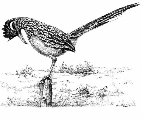 photo of YelpsteR 2.