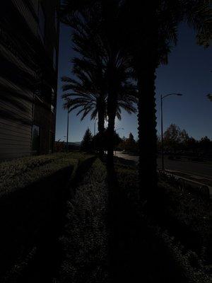 photo of Emmalynn L.