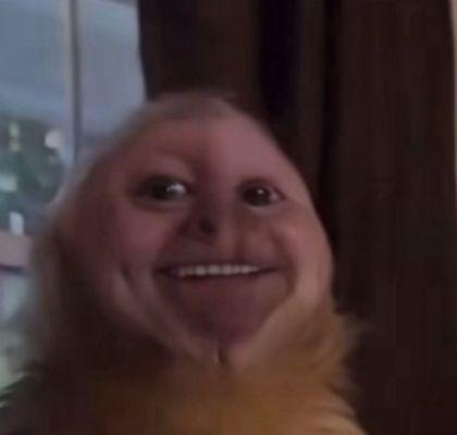 photo of Lorenzo Osteguin O.