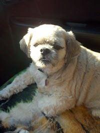 photo of Janiece Ann F.