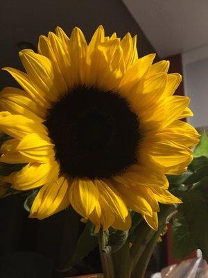 photo of Patricia M.