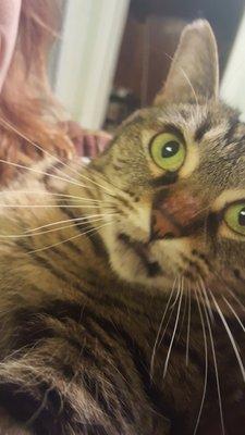 photo of Ampersand J.