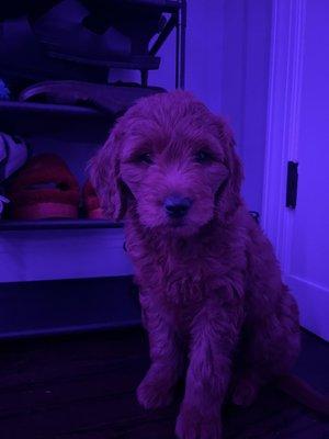 Photo of Sebastian A.