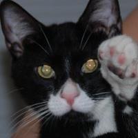 photo of Alexander C.