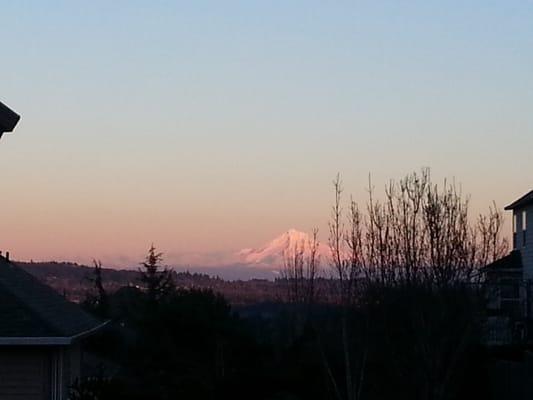 photo of Michelle M.