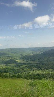 photo of Montania M.