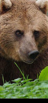 photo of Jonathan P.