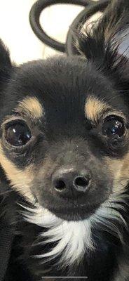 photo of Fernando P.