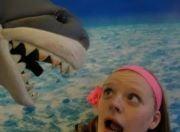 photo of Shan Shan B.