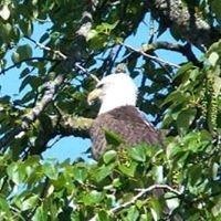 photo of Michelle B.