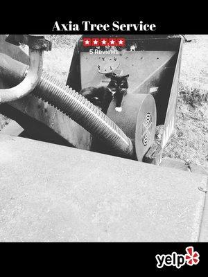 photo of TheZoltansk8 ..