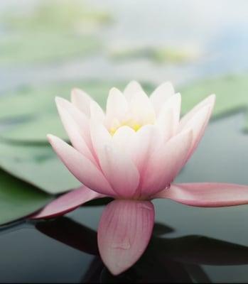 photo of Patricia C.