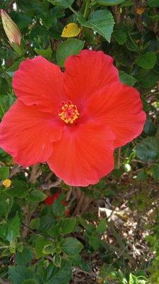 photo of Christina L.