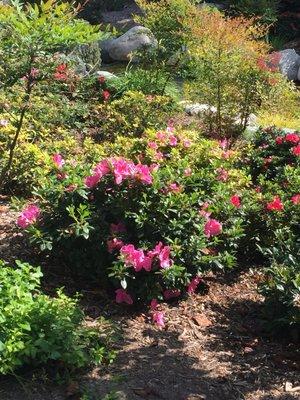 photo of Victoria S.