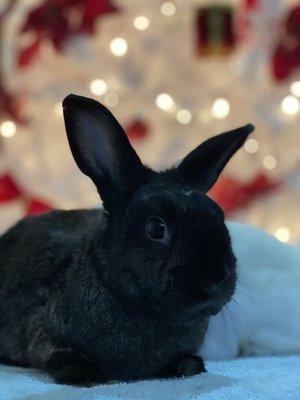 Photo of K S.