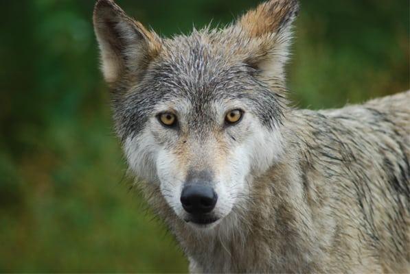 photo of Christopher H.